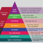 Maslow'un İhtiyaçlar Hiyerarşisi Nedir?