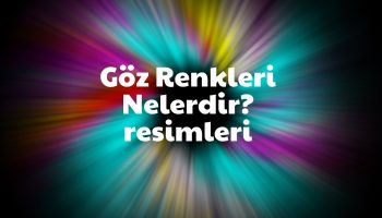 Göz Renkleri Nelerdir Resimleri