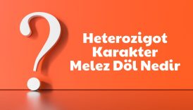 Heterozigot Karakter Melez Döl Nedir? Merak Ediyormusunuz