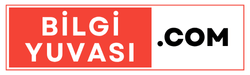 Bilgi Yuvası